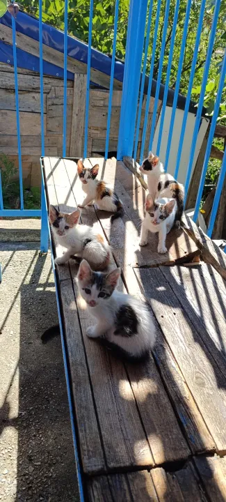 Anın Fotoğrafı