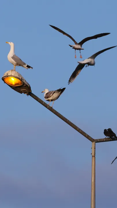 Anın Fotoğrafı