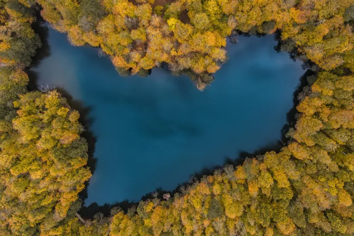 Anın Fotoğrafı