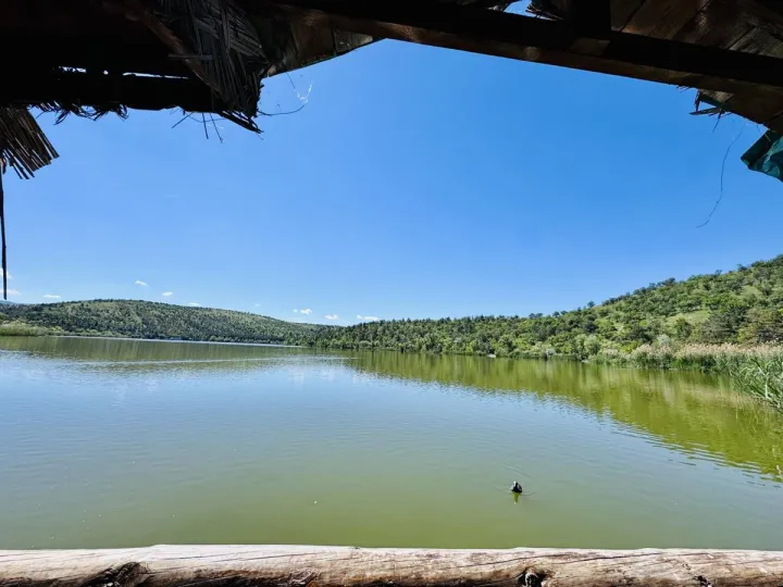 Anın Fotoğrafı