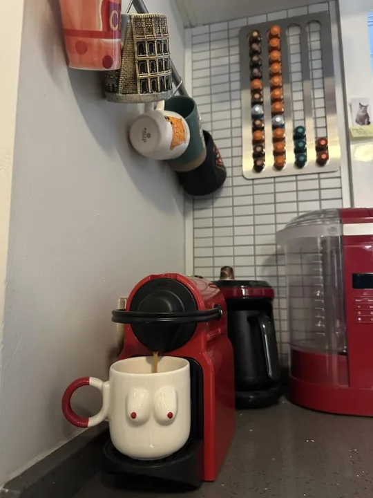 Anın Fotoğrafı