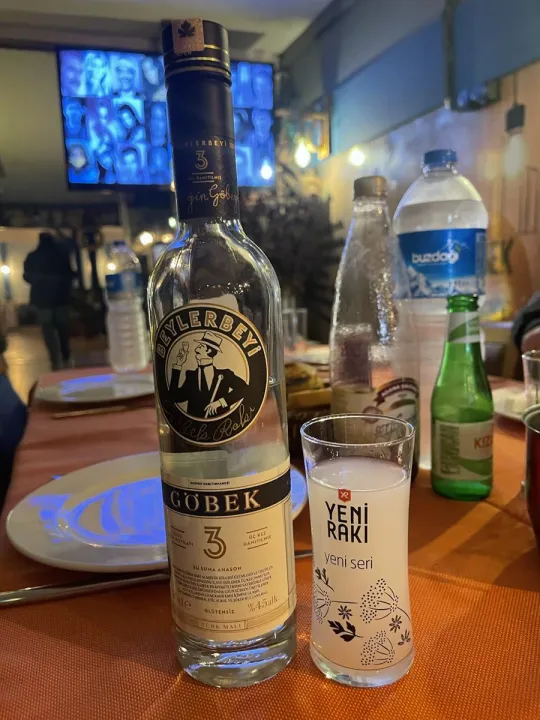 Anın Fotoğrafı