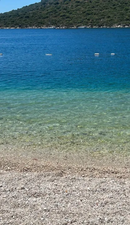 Anın Fotoğrafı