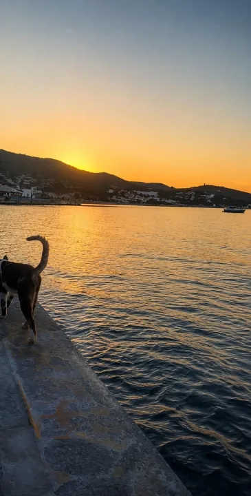 Anın Fotoğrafı