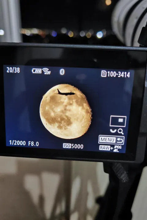 Anın Fotoğrafı