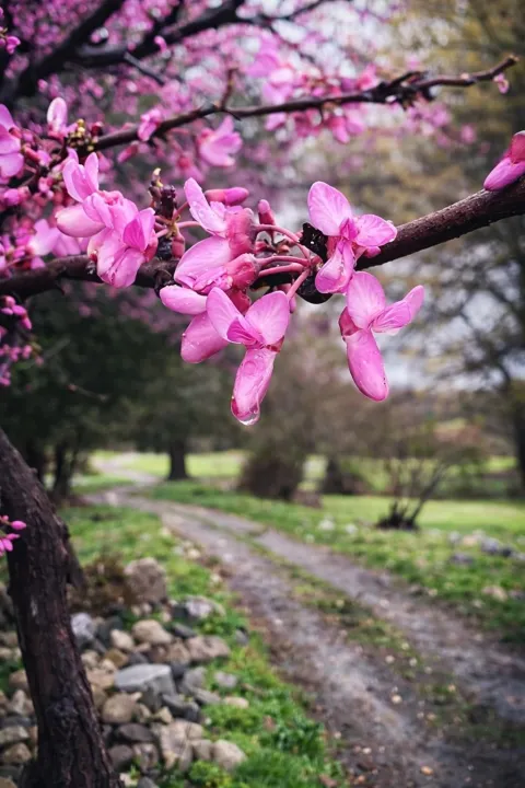 Anın Fotoğrafı
