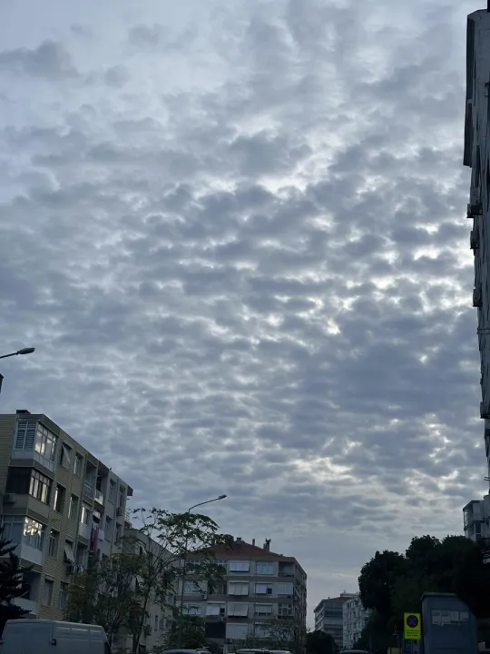 Anın Fotoğrafı