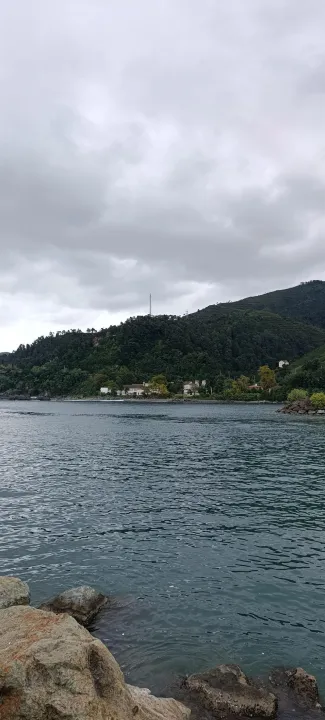 Anın Fotoğrafı