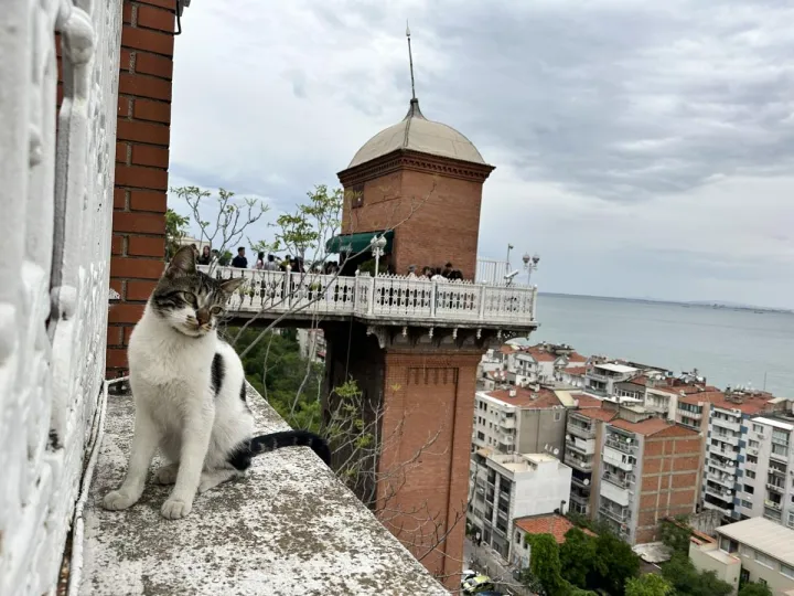 Anın Fotoğrafı