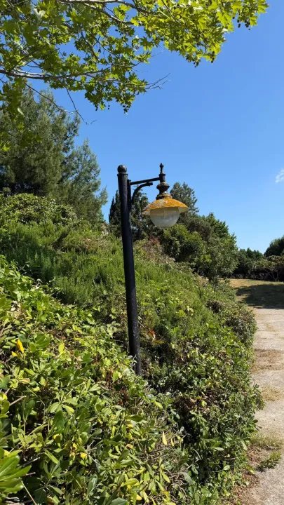 Anın Fotoğrafı