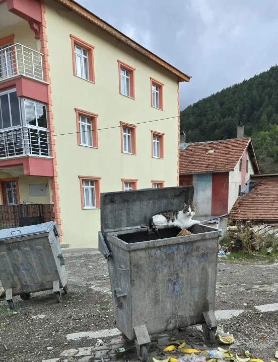 Anın Fotoğrafı