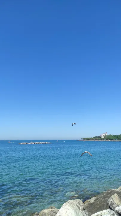 Anın Fotoğrafı