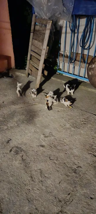 Anın Fotoğrafı