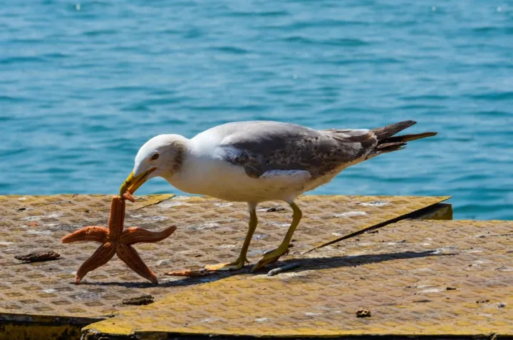 Anın Fotoğrafı