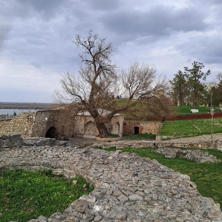 Anın Fotoğrafı