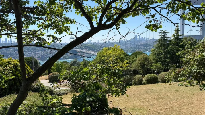 Anın Fotoğrafı
