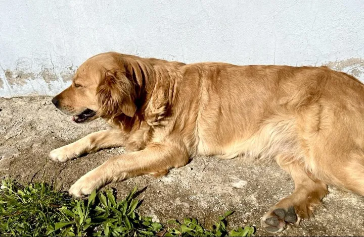 Anın Fotoğrafı