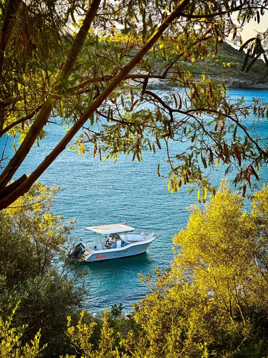 Anın Fotoğrafı
