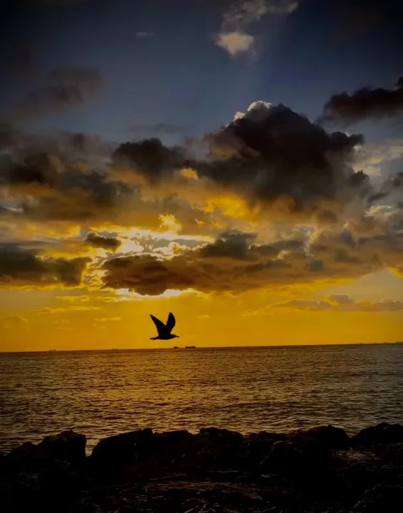 Anın Fotoğrafı