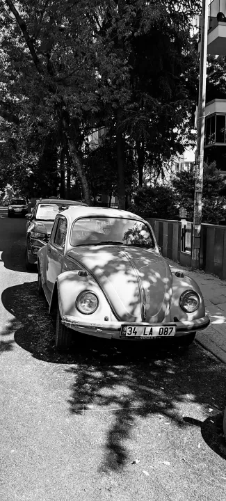 Anın Fotoğrafı