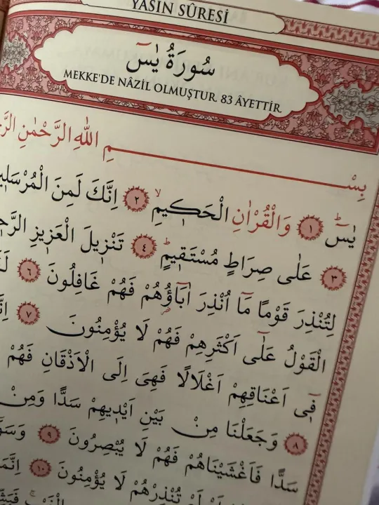 Anın Fotoğrafı