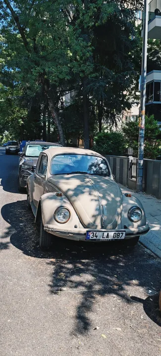Anın Fotoğrafı