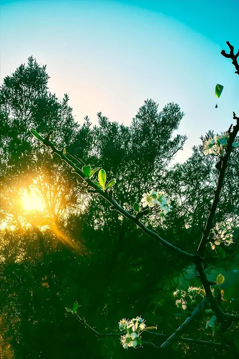 Anın Fotoğrafı