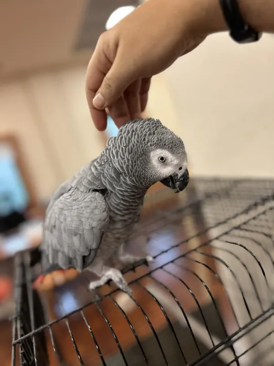 Anın Fotoğrafı