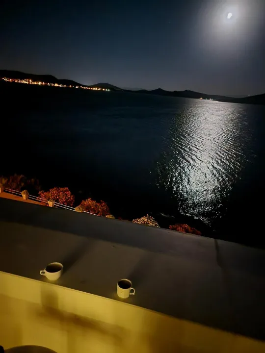 Anın Fotoğrafı
