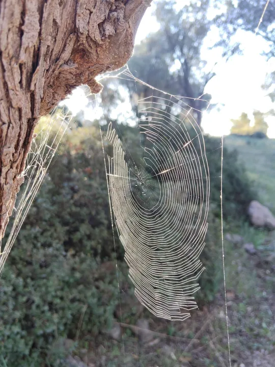 Anın Fotoğrafı
