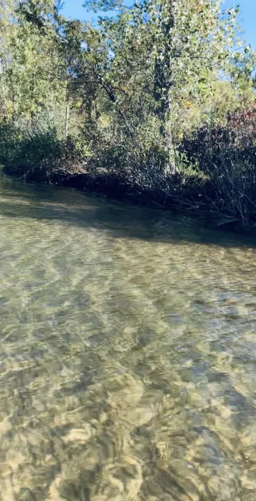 Anın Fotoğrafı