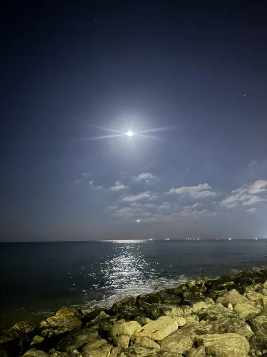 Anın Fotoğrafı