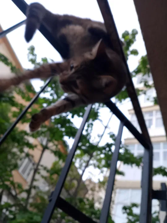 Anın Fotoğrafı