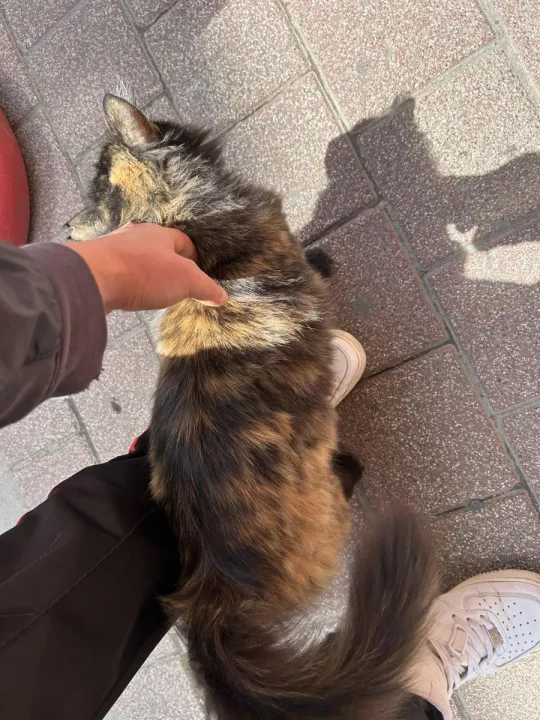 Anın Fotoğrafı