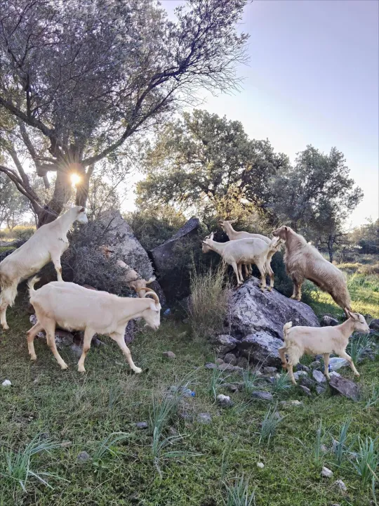 Anın Fotoğrafı