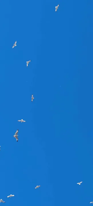 Anın Fotoğrafı