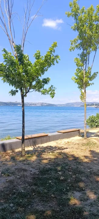 Anın Fotoğrafı