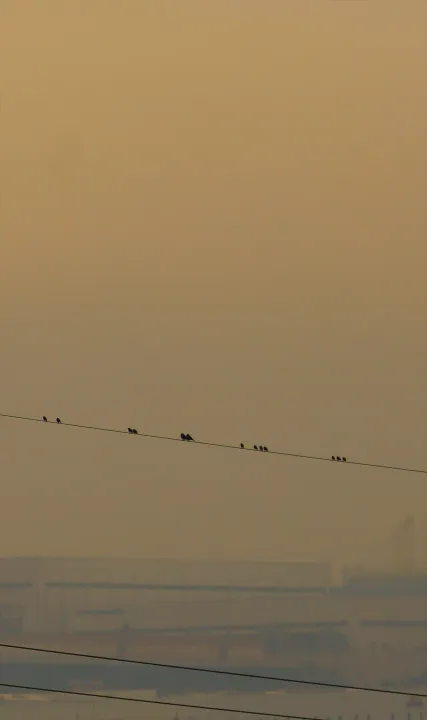 Anın Fotoğrafı