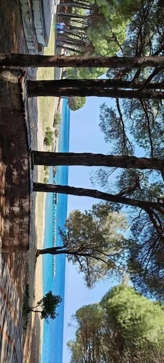 Anın Fotoğrafı
