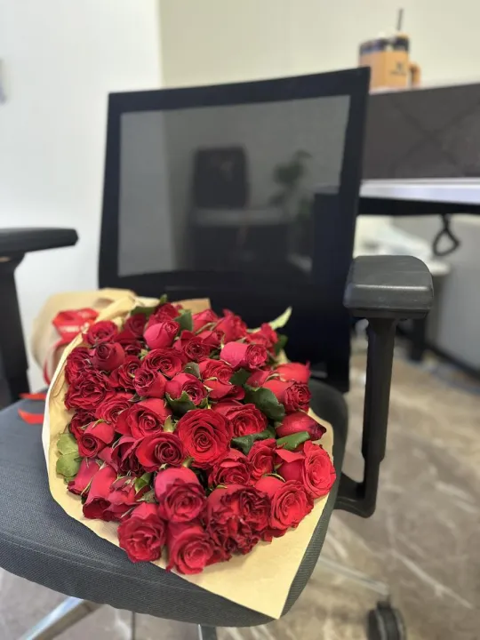 Anın Fotoğrafı