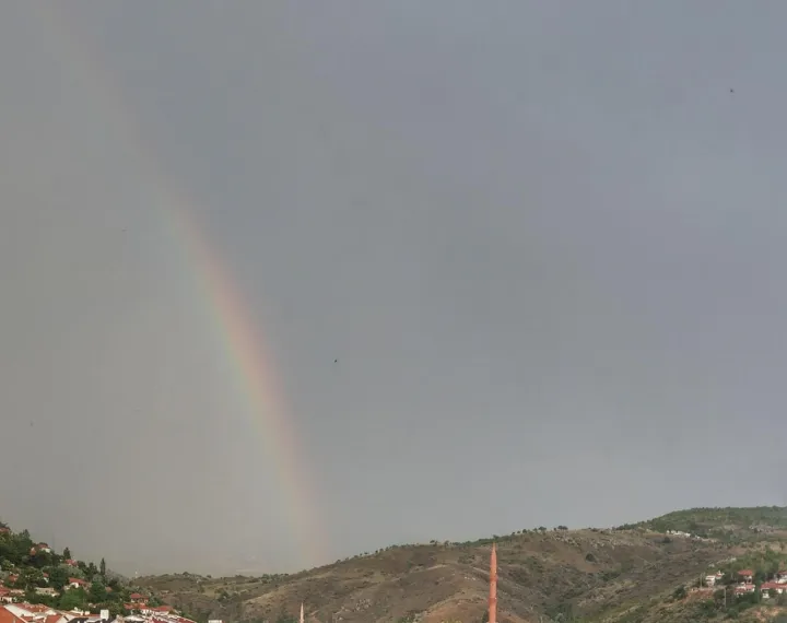 Anın Fotoğrafı