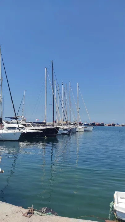 Çoklu paylaşım