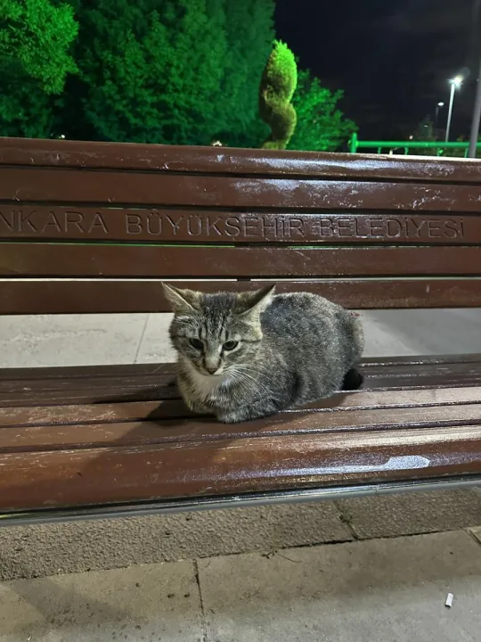 Anın Fotoğrafı