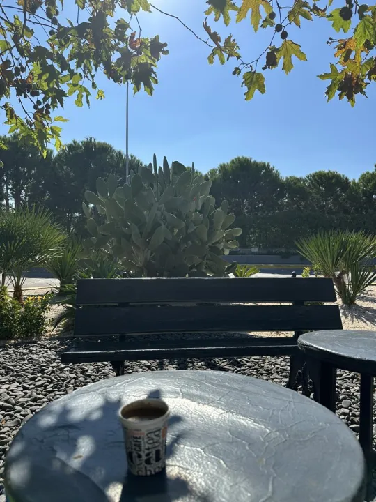 Anın Fotoğrafı