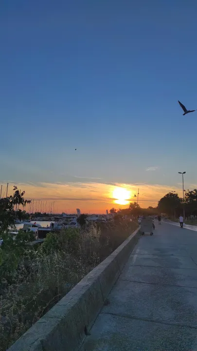 Anın Fotoğrafı
