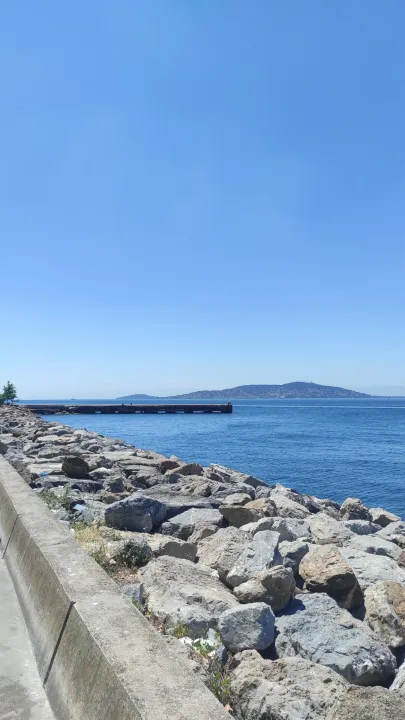 Anın Fotoğrafı