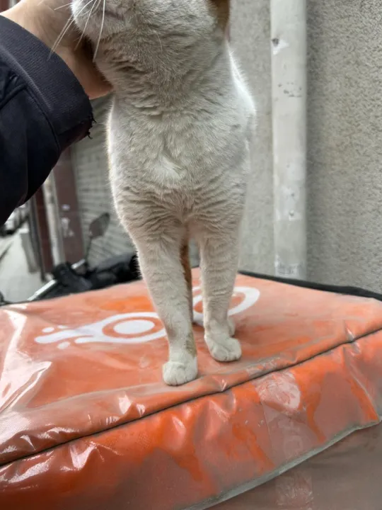 Anın Fotoğrafı