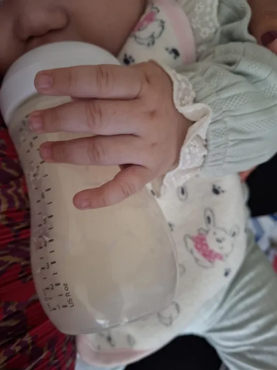 Anın Fotoğrafı