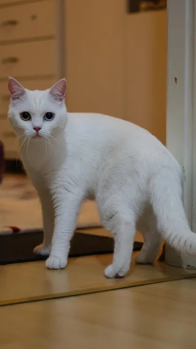 Anın Fotoğrafı