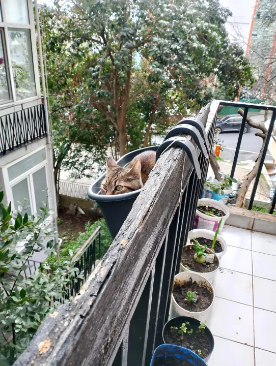 Anın Fotoğrafı